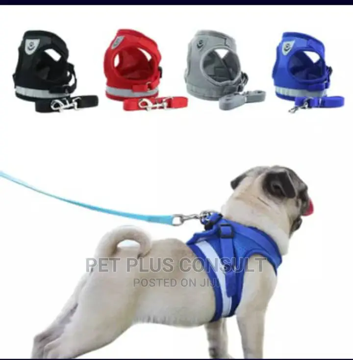 Medium Dog Vest / Harness