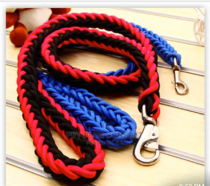 Braided Leash