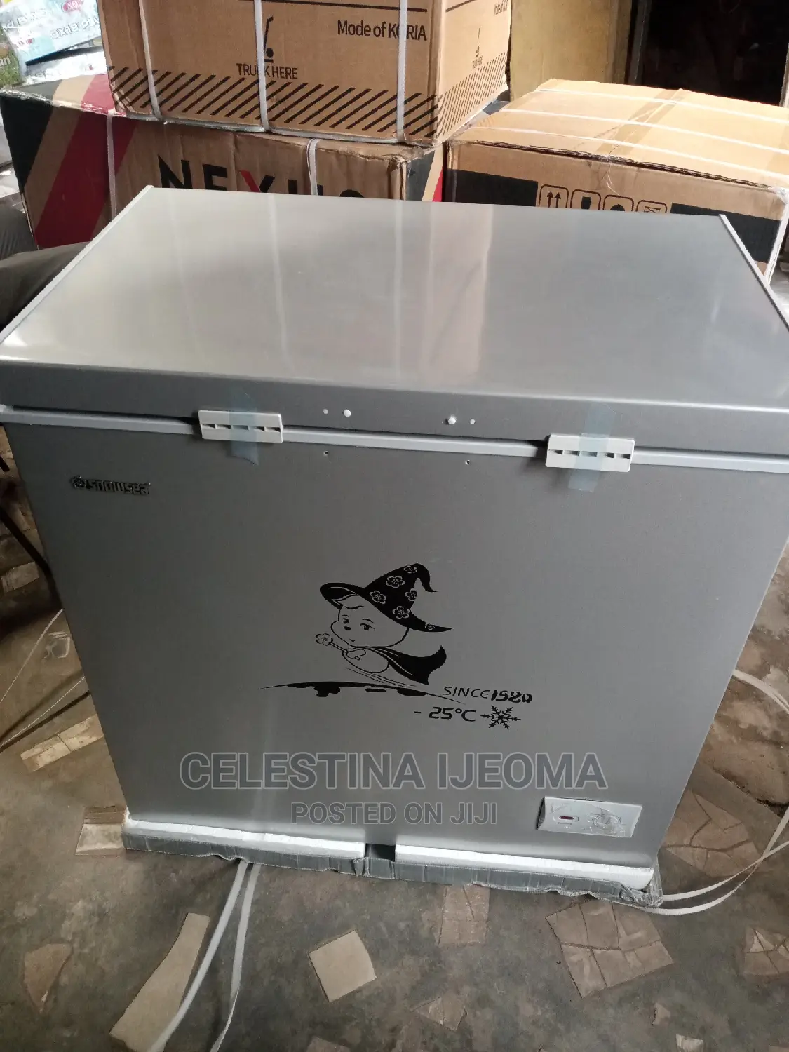 Snowsea Freezer 258 Litres
