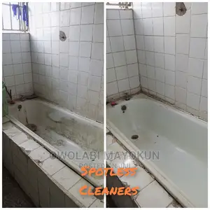 Professional Cleaning Service