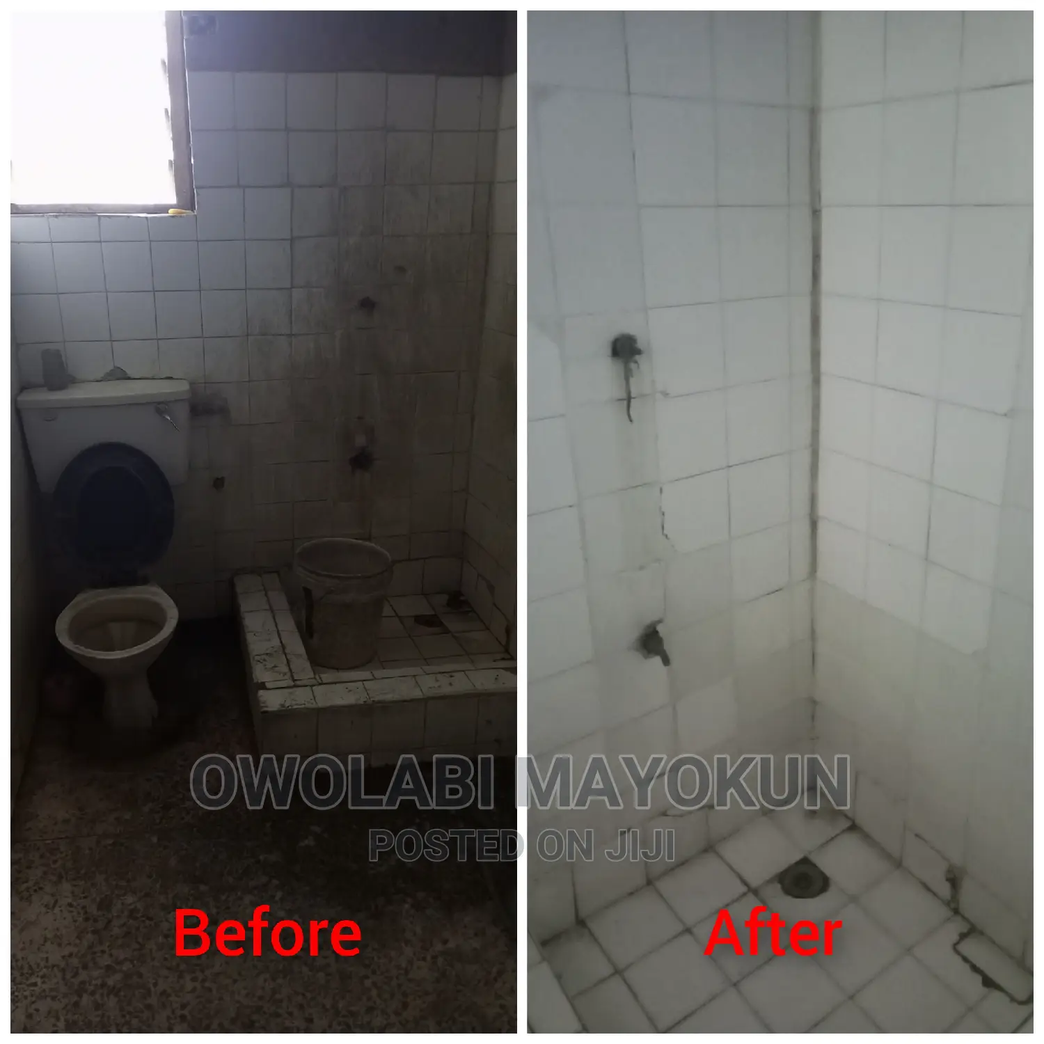 Professional Cleaning Service