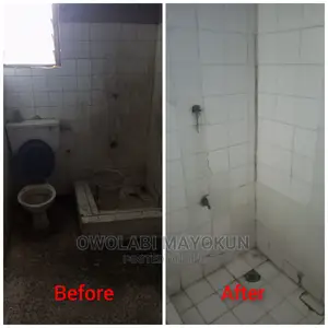 Professional Cleaning Service