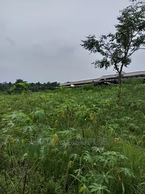 2 Plot of Land for Sale at Amansea