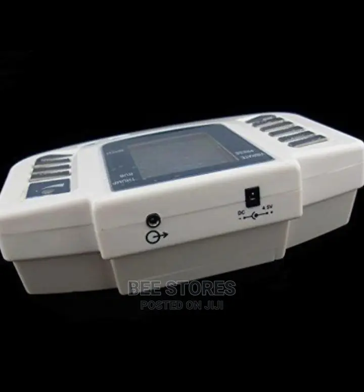 Multi-Functional Digital Electrical Tens Acupuncture Therap