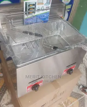 Double Gas Fryer