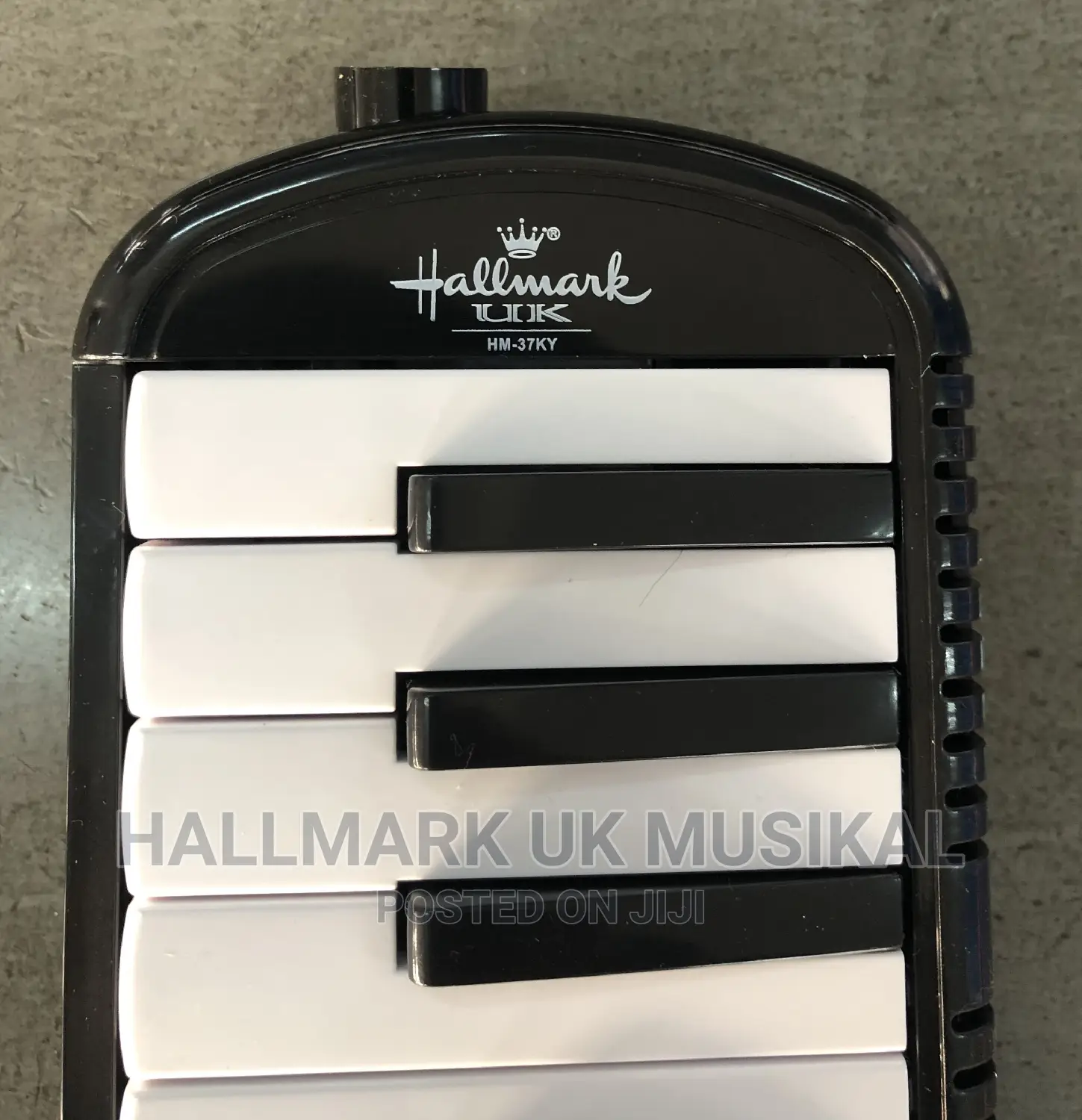 Hallmark-Uk Professional Melodica