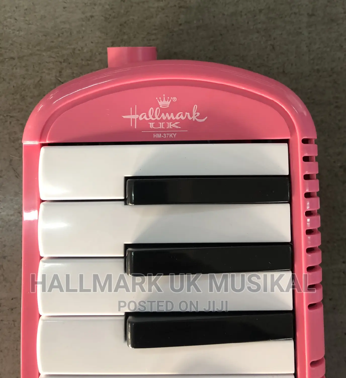 Hallmark-Uk Professional Melodica