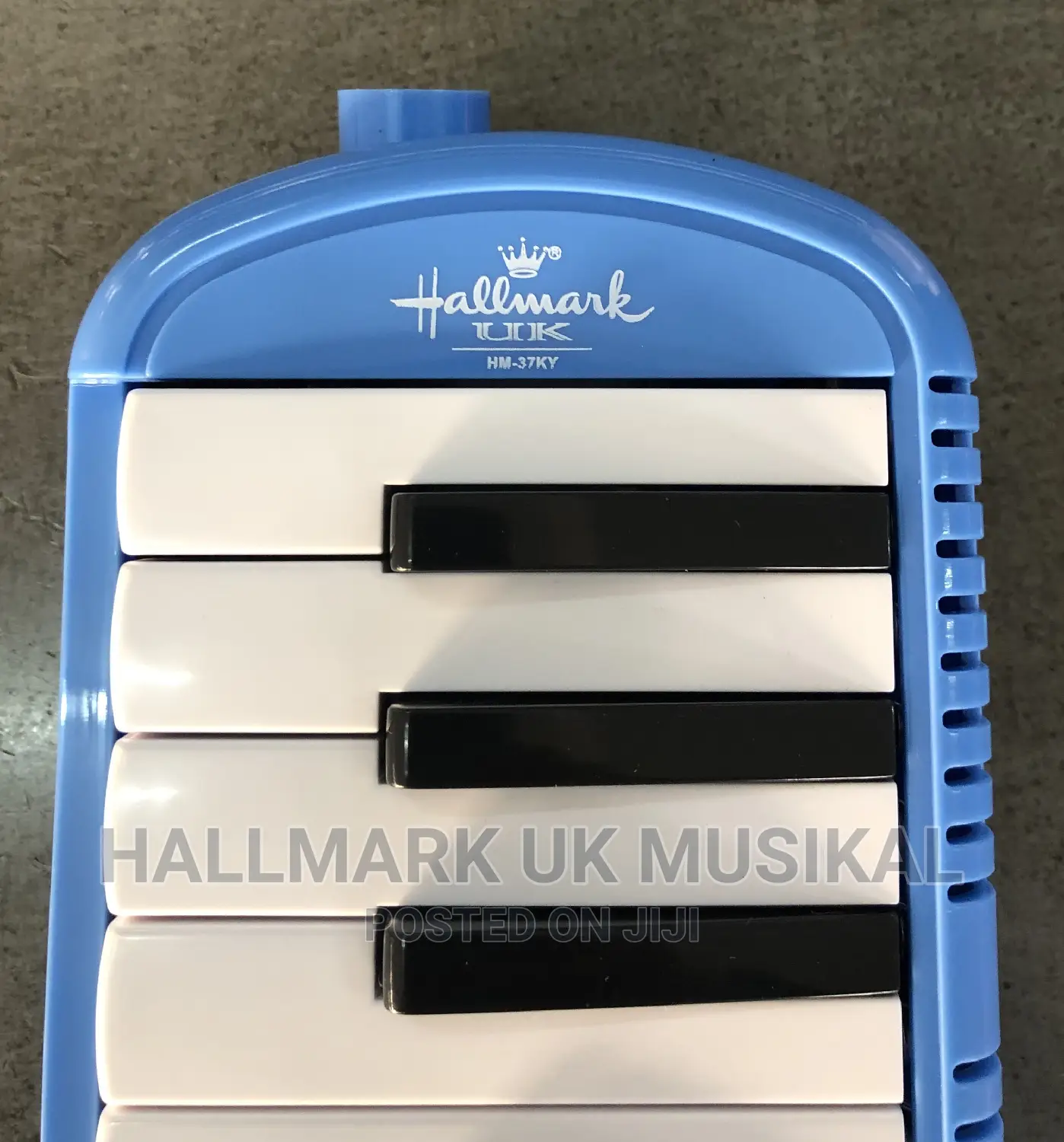Hallmark-Uk Professional Melodica
