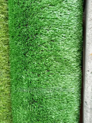 Artificial Grass