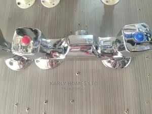 Stainless Bathmixers (Shower Mixer or Shower Beam) 101ap