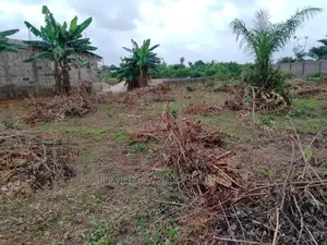 5 Plots Of Land For SALE