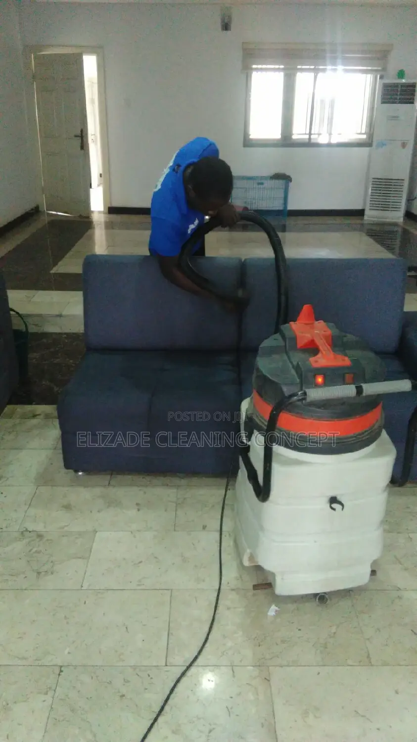 Professional Upholstery Cleaning