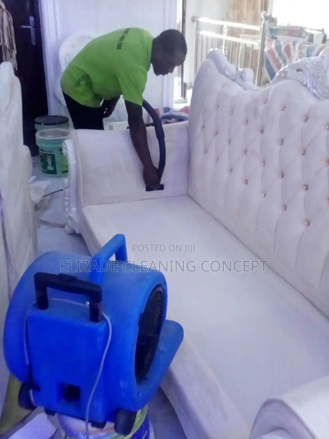 Professional Upholstery Cleaning