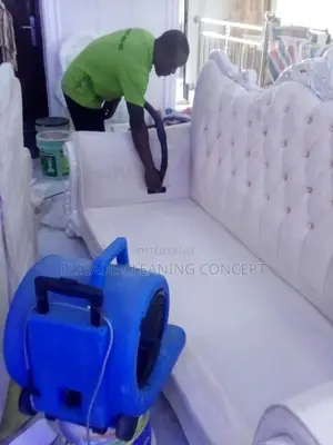 Professional Upholstery Cleaning