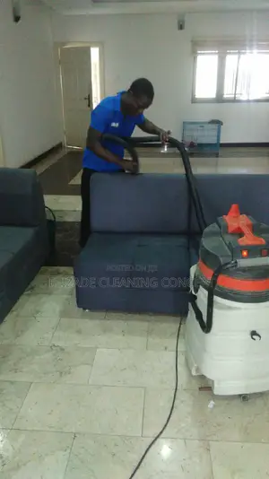 Professional Upholstery Cleaning