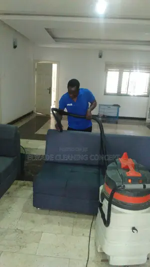 Professional Upholsery Cleaning