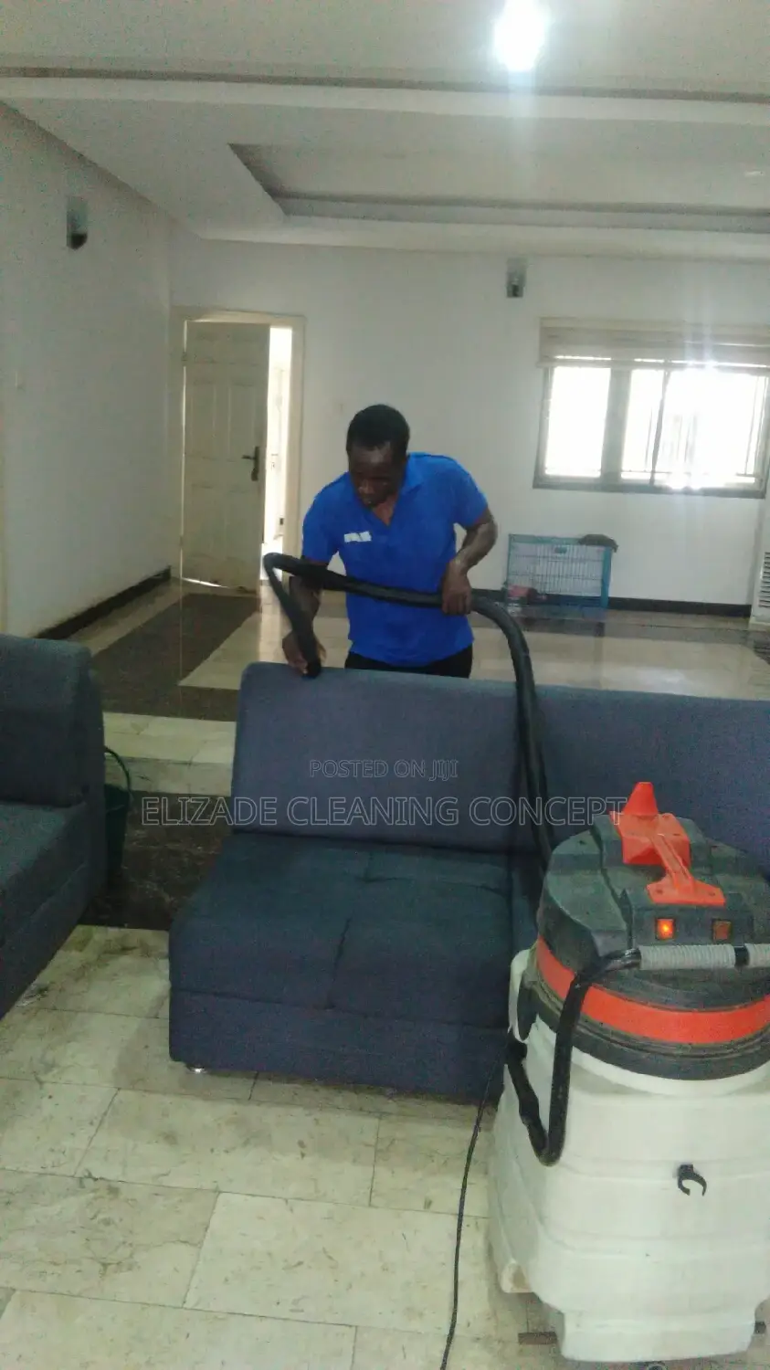 Professional Upholsery Cleaning