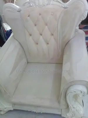 Professional Upholsery Cleaning