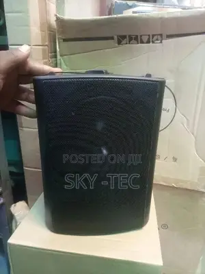 1pair of Original Wall Speaker