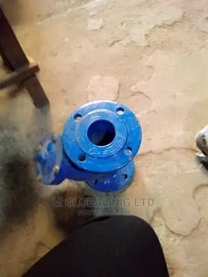 2.5" Inches Strainer Valve (Flanged)