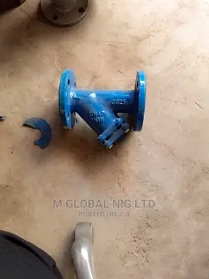 2.5" Inches Strainer Valve (Flanged)
