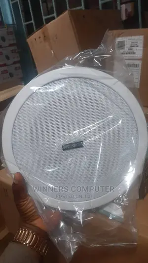 Celling Mounted Speaker