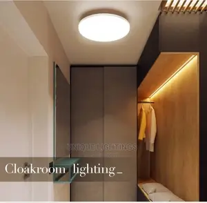 Led Ceiling Light