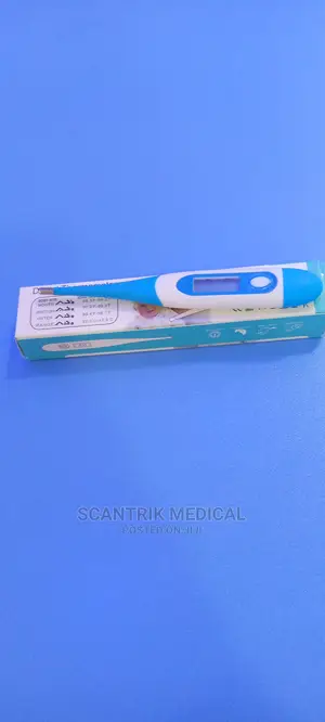 Clinical Digital Thermometer