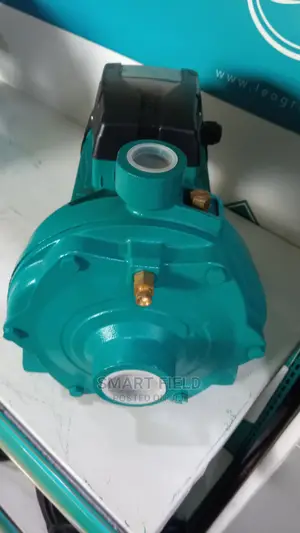 Leo Surface Pump 2hp High Head