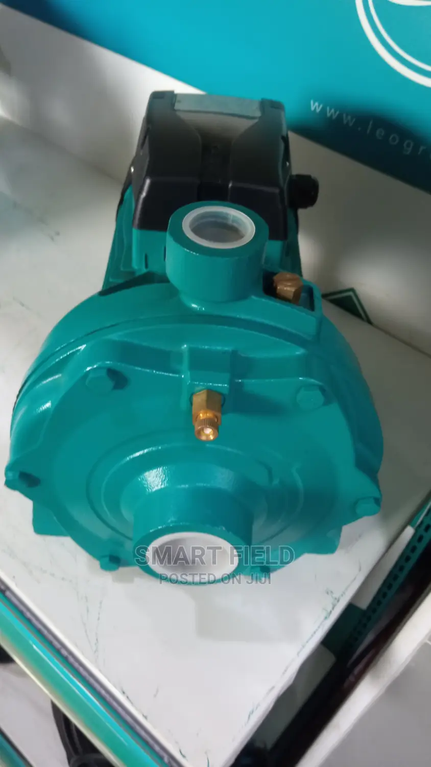 Leo Surface Pump 2hp High Head