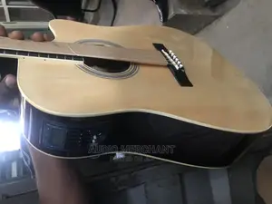 Electric Acoustic Guitar