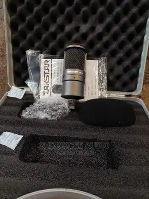 Takstar Studio Microphone SM-8B