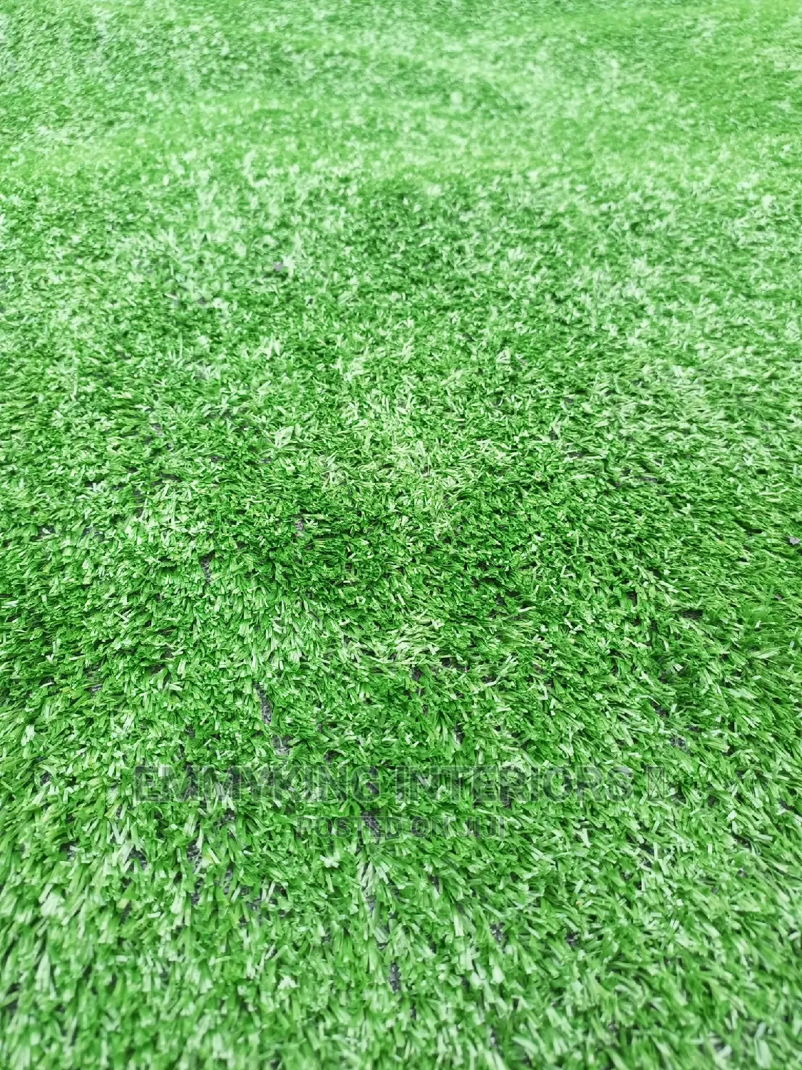Artificial Grass
