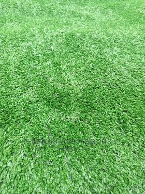 Artificial Grass