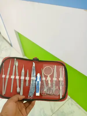 Stainless Steel Dissecting Kit