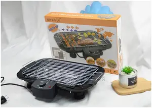 Portable Electric BBQ Grill