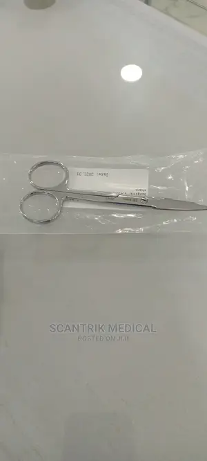 Scissor Stainless Steel Scissor
