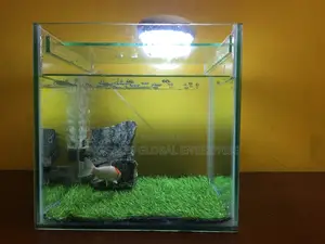 Complete Medium Size Cube Aquarium - 12 By 12 By 12 Inches
