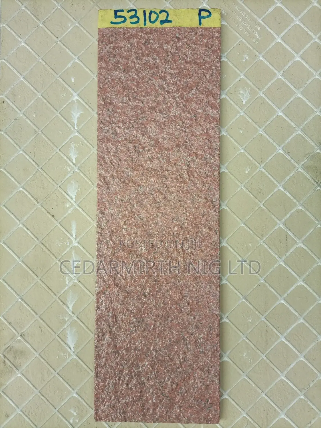 D53102 Interior/Exterior Wall Tile