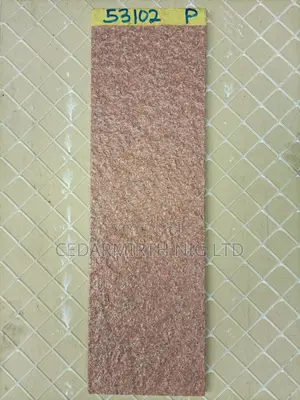 D53102 Interior/Exterior Wall Tile
