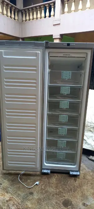 Liebherr Standing Freezer 7 Steps