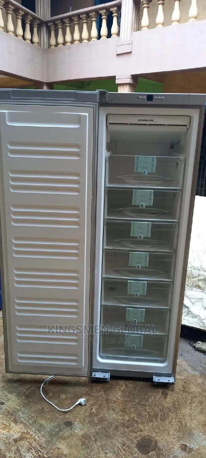 Liebherr Standing Freezer 7 Steps