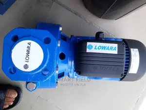 Lowara Cast Surface Water Pump 4kw 5.5hp 2900rpm