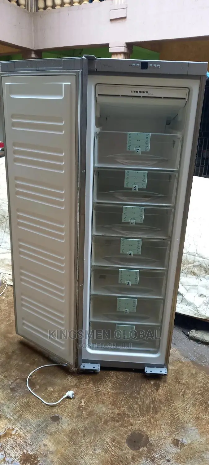 Liebherr Standing Freezer 7 Steps