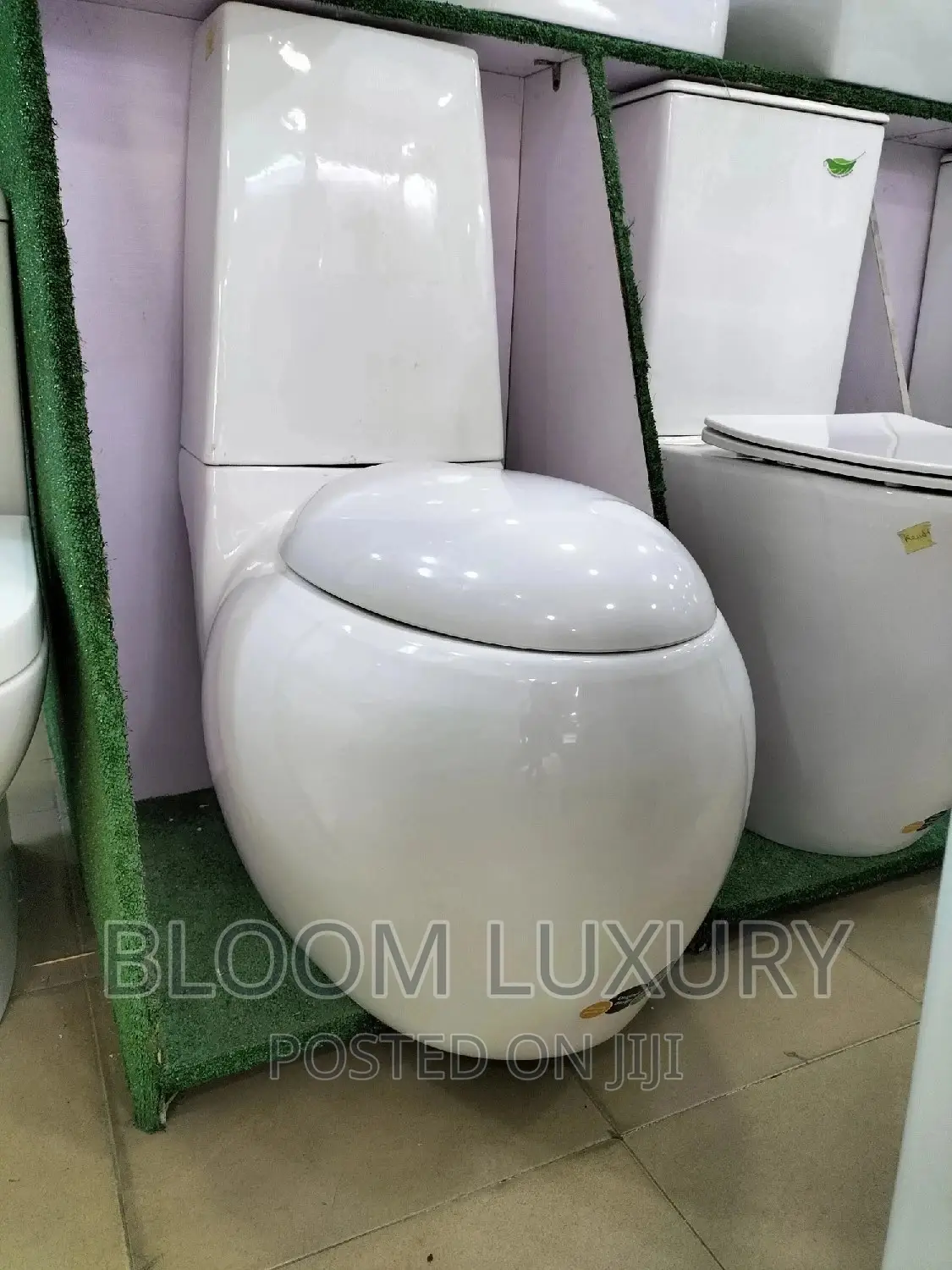 Executive Egg Shape Water Closet
