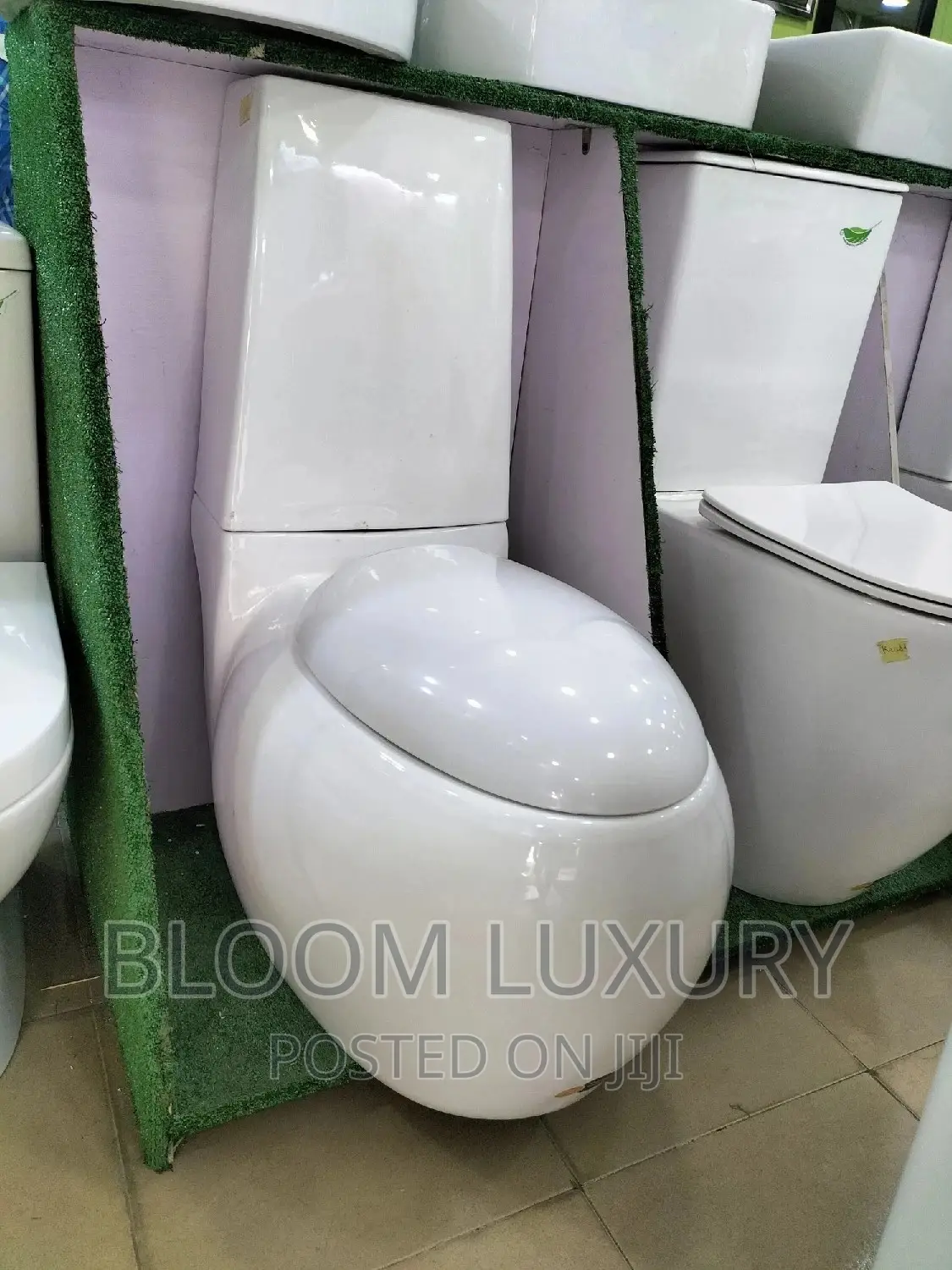 Executive Egg Shape Water Closet