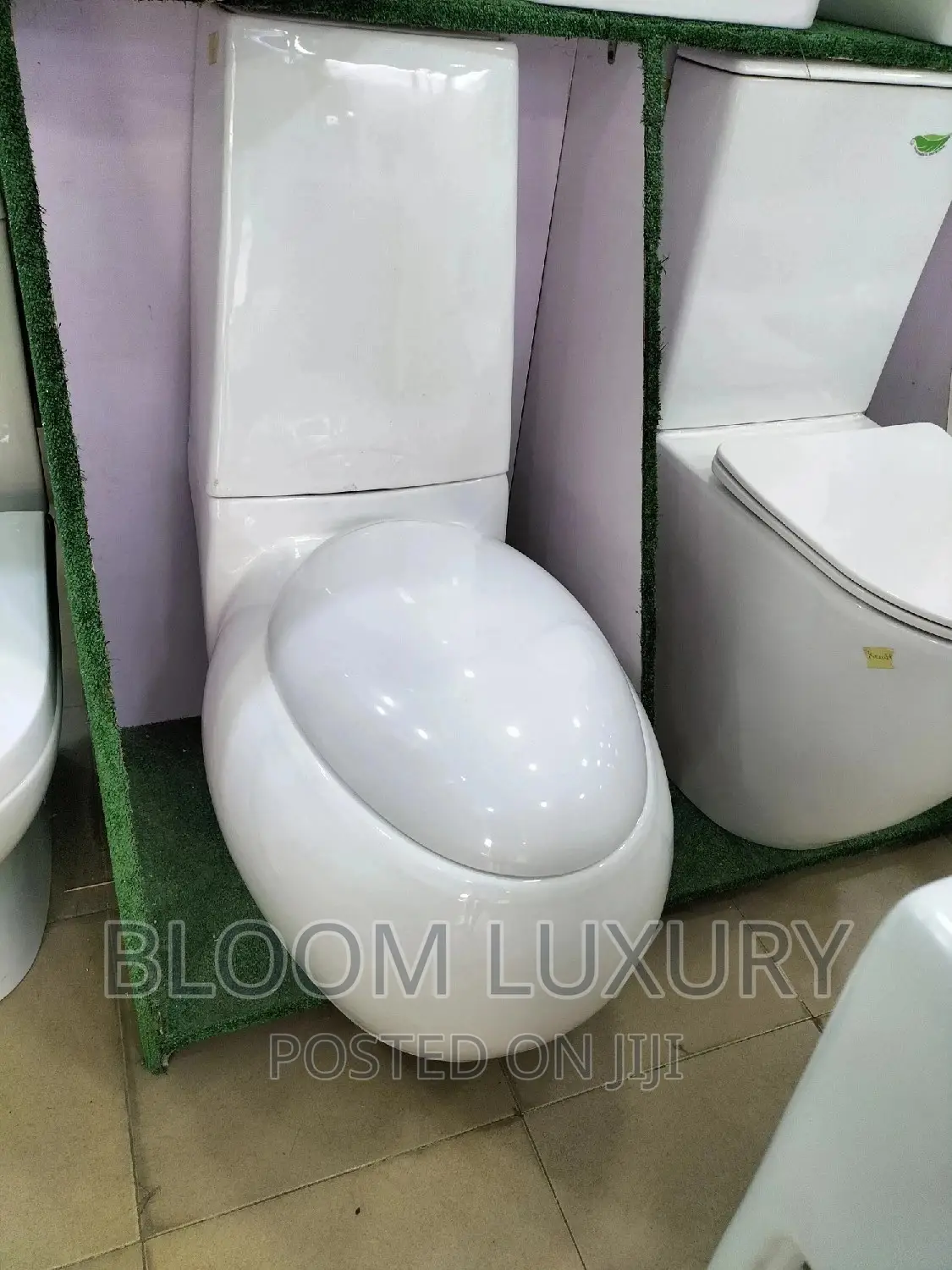 Executive Egg Shape Water Closet