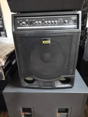 Professional Stagemaster Bass Combo