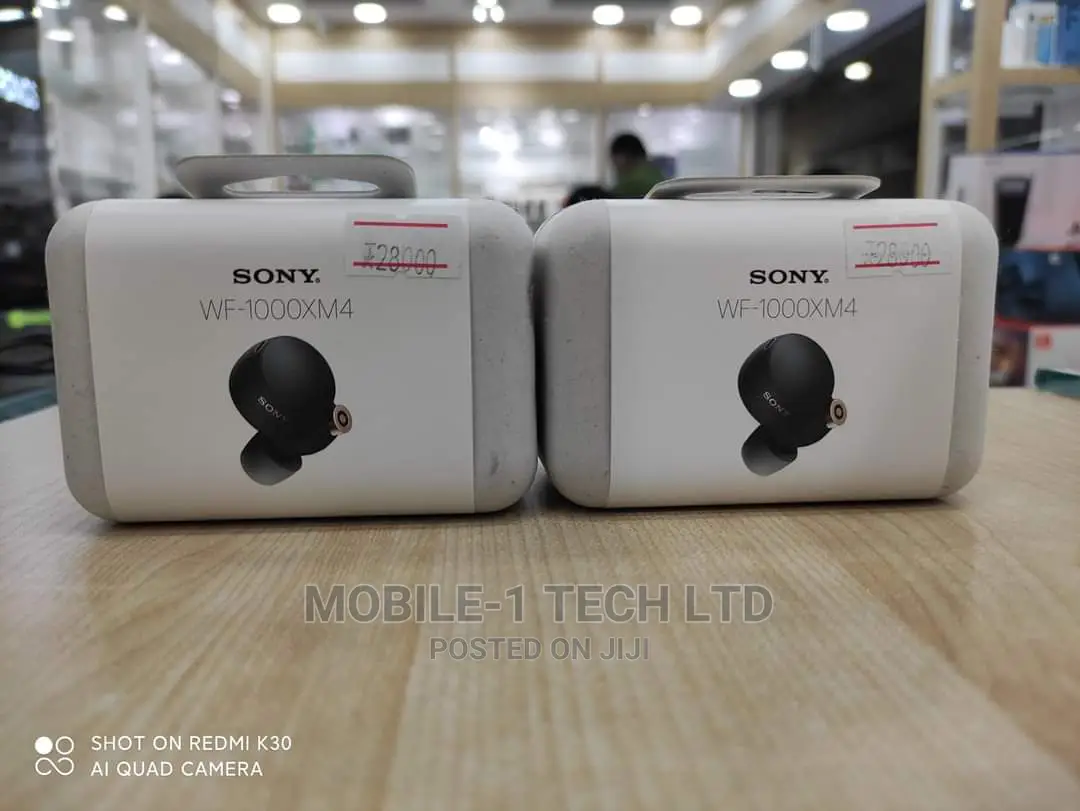 Sony WF-1000XM4