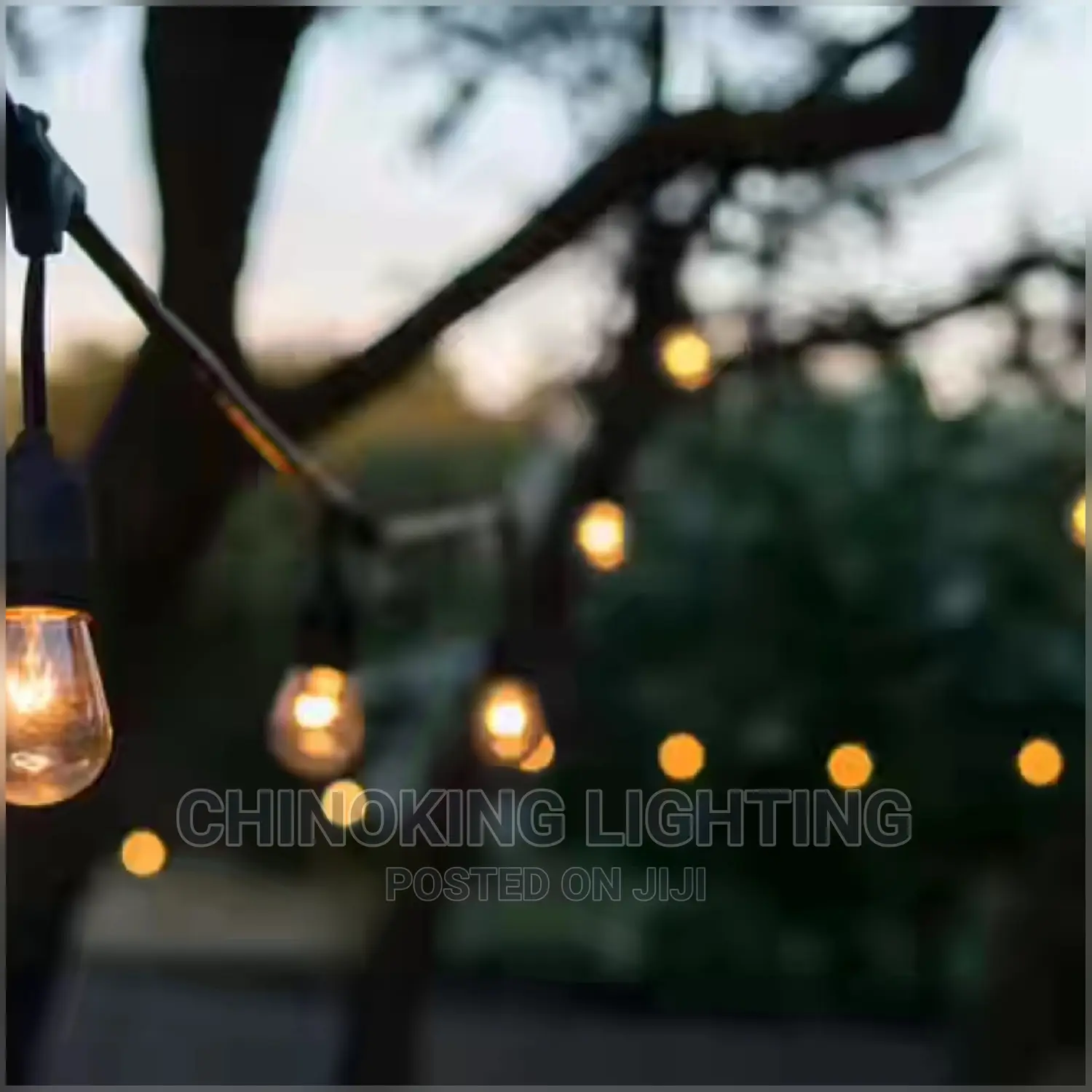 10m Length New String Lights